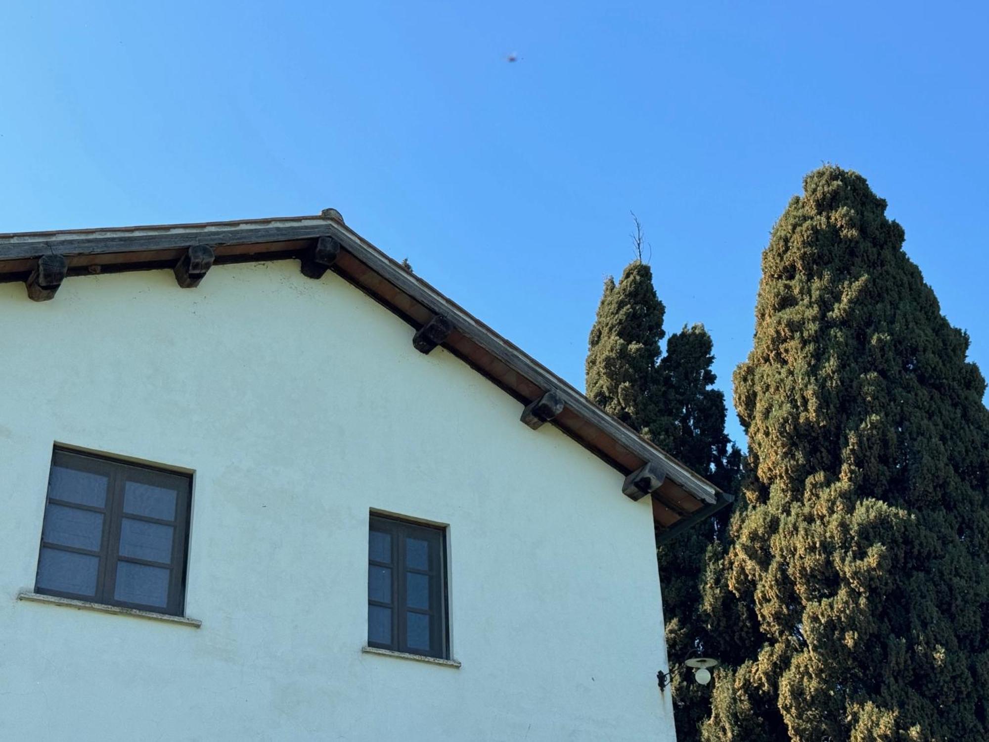 Orvieto Country House Castiglione In Teverina Exterior photo