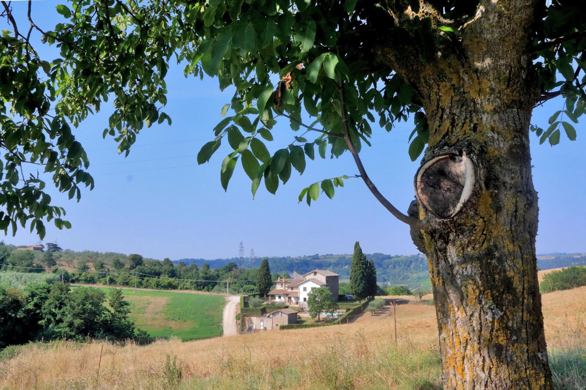 Orvieto Country House Castiglione In Teverina Exterior photo